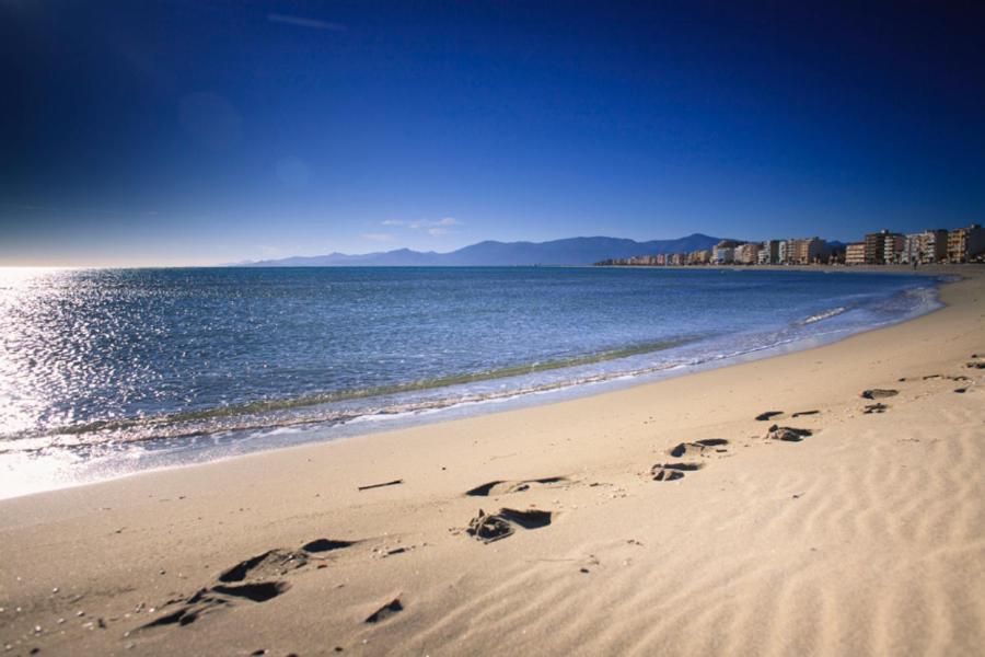 L'Escale Catalane, 50M De La Plage, 36M2, Parking Canet-en-Roussillon Eksteriør billede
